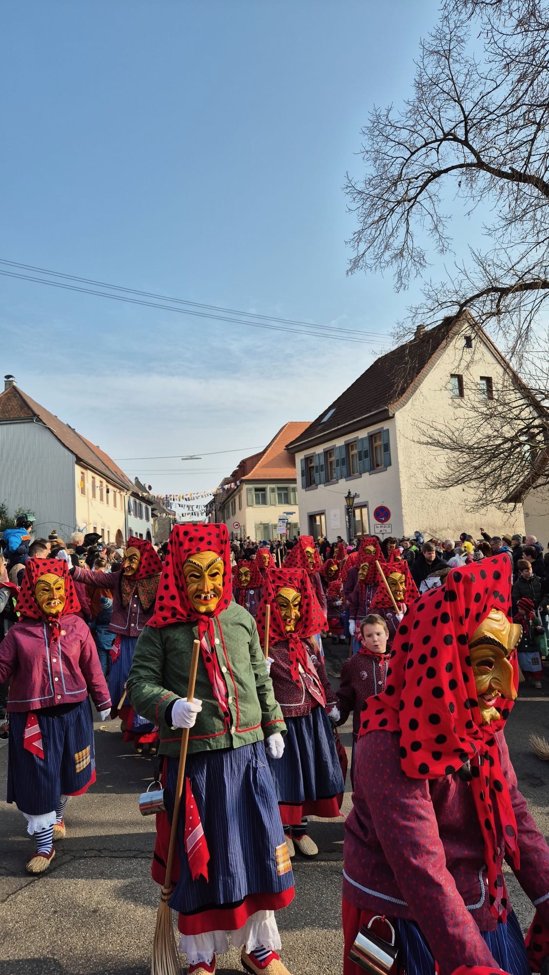 Hottscheck Hexen ziehen mit mystischem Flair durch die Straßen beim Narrensprung